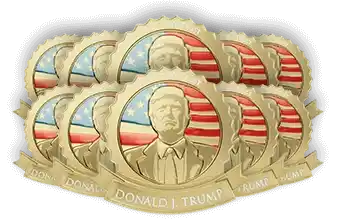Trump Gold Lapel Pin Trump Gold Lapel Pin Buy